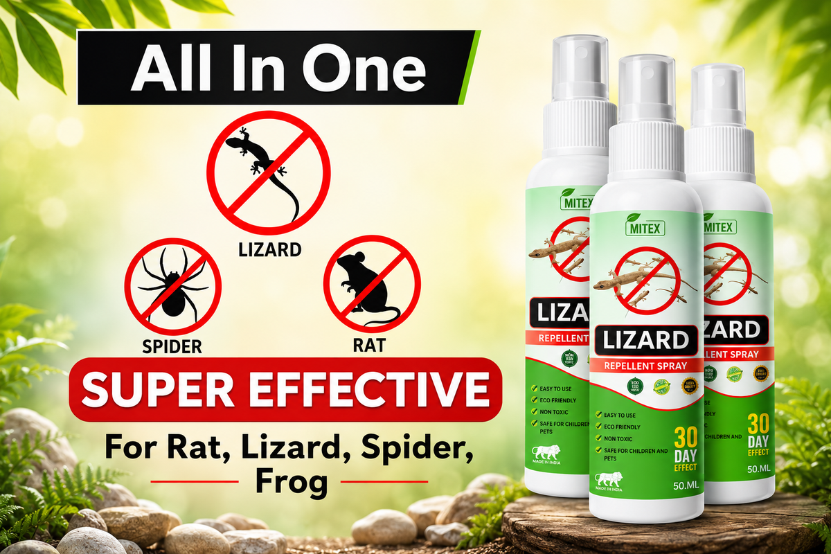 🦎 Lizard Spray Pack of 3 – 50ml Each | Easy Home Protection