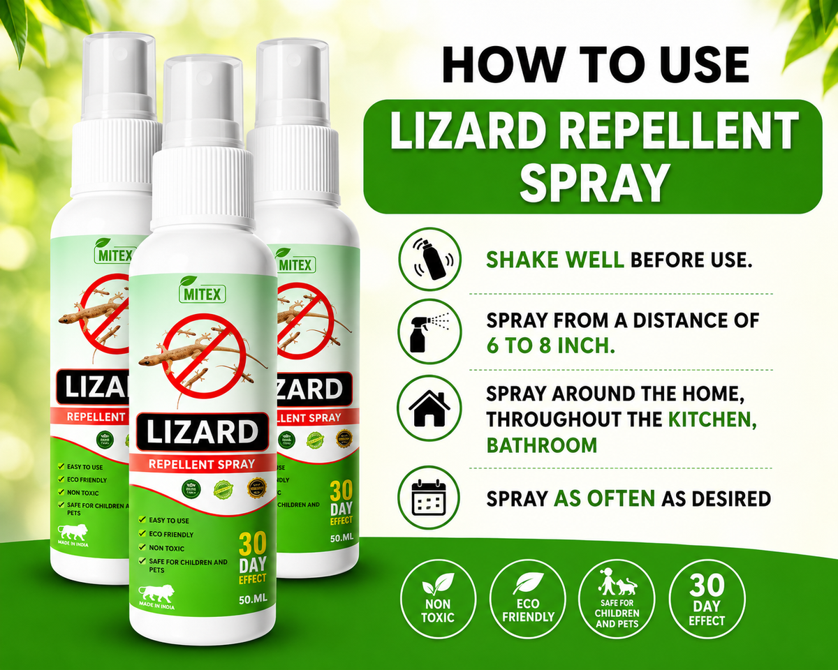 🦎 Lizard Spray Pack of 3 – 50ml Each | Easy Home Protection