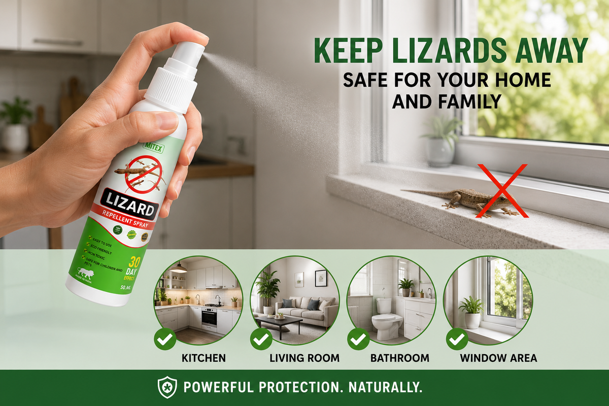 🦎 Lizard Spray Pack of 3 – 50ml Each | Easy Home Protection